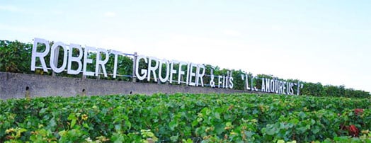 Domaine ROBERT GROFFIER Gevrey-Chambertin
