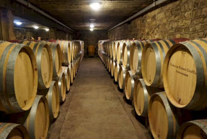 Domaine ROBERT GROFFIER Gevrey-Chambertin