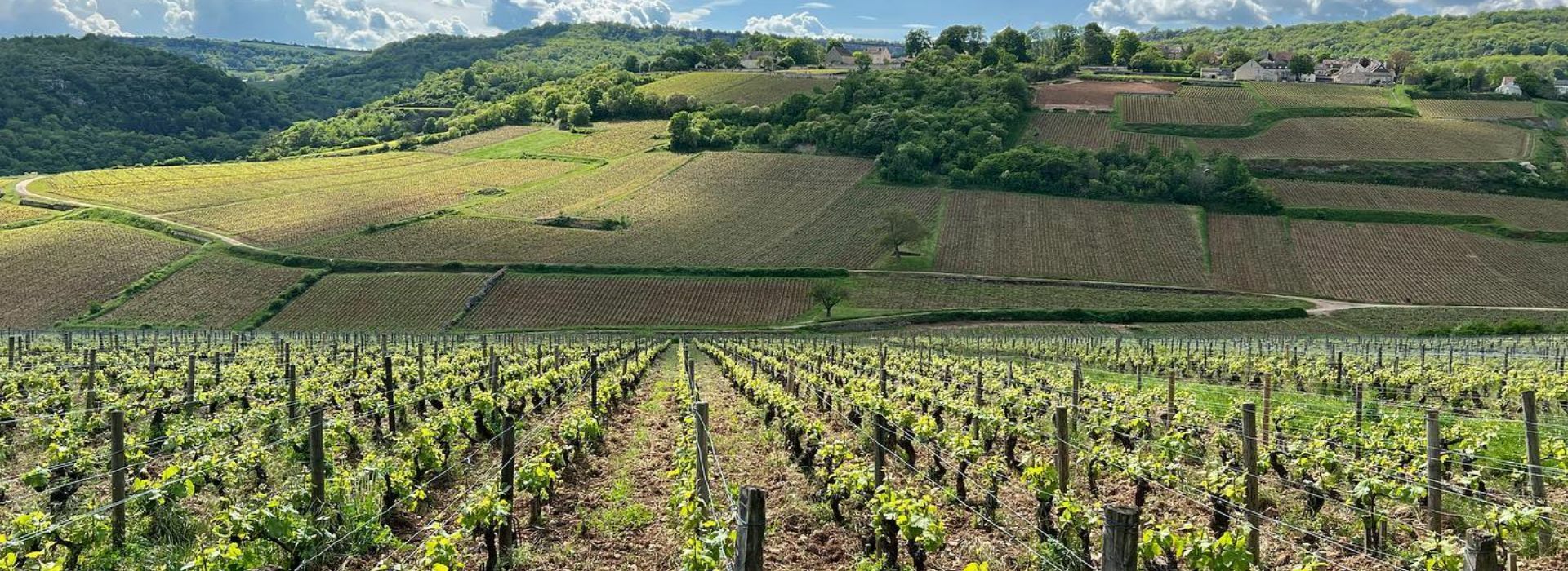 Domaine Henri & Gilles Buisson Saint-Romain "Sous La Velle" 2021