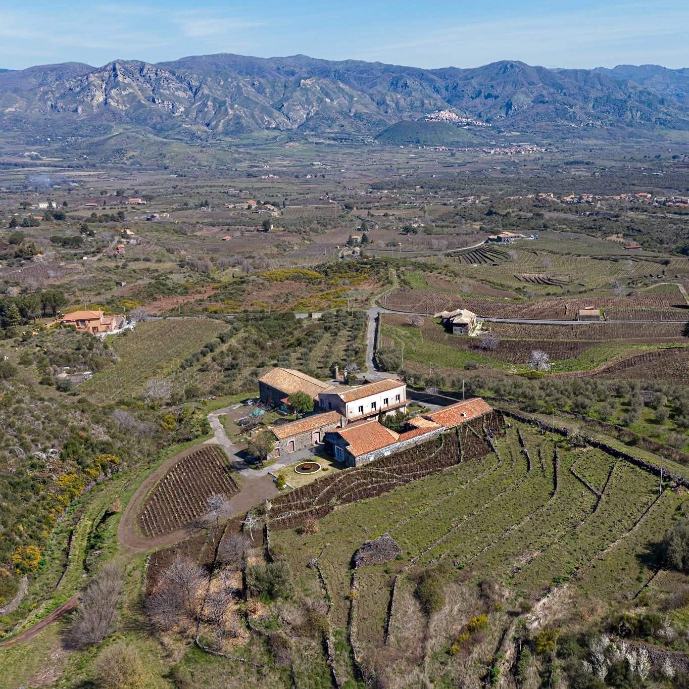 Contrada PC Bianco IGP Tenuta di Passopisciaro 2021