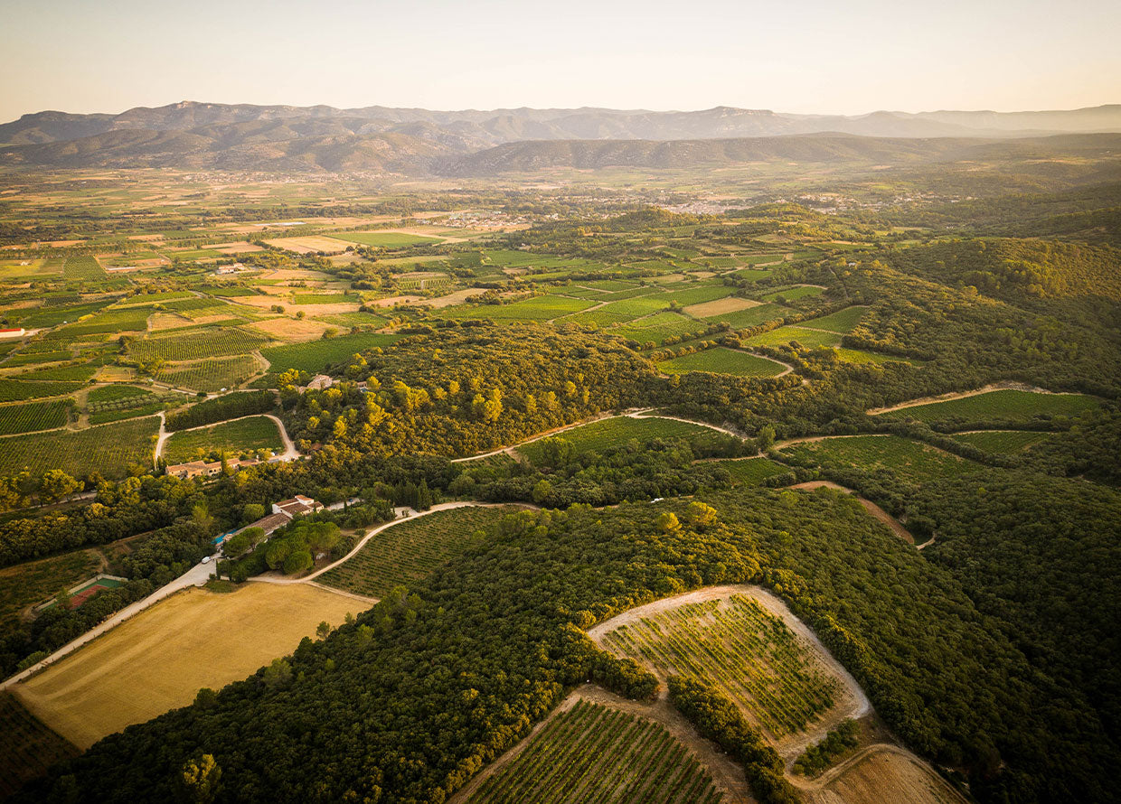 Mas de Daumas Gassac White 2023