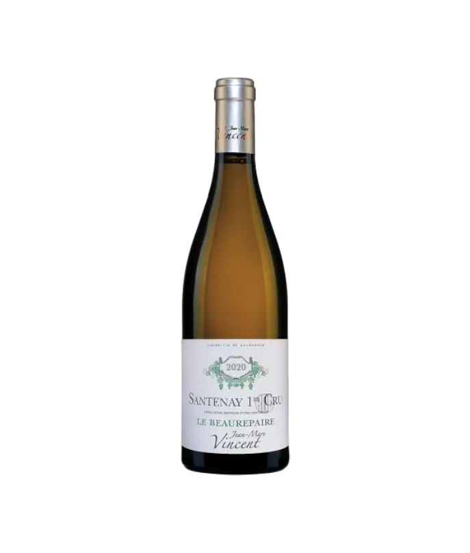 Santenay Blanc Les Vignes Denses Domaine Jean-Marc Vincent 2021