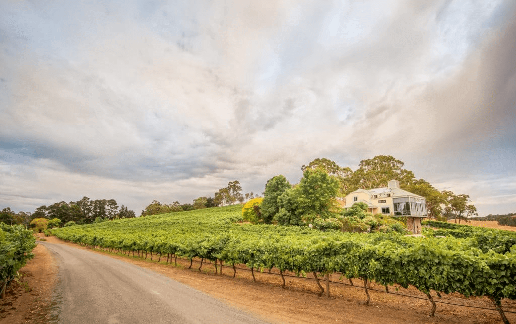 Hahndorf Hill Shiraz 2018