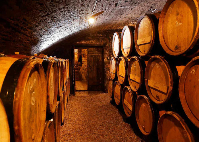 Bachelet-Ramonet Chassagne-Montrachet 1er Cru Clos De La Boudriotte 2019