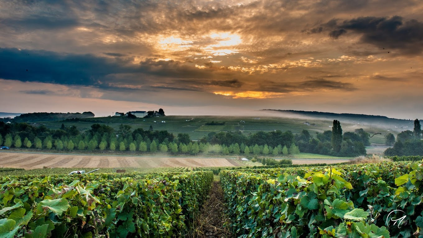 DEHOURS & FILS Champagne Extra Brut "Brisefer" Reserve Perpetuelle NV