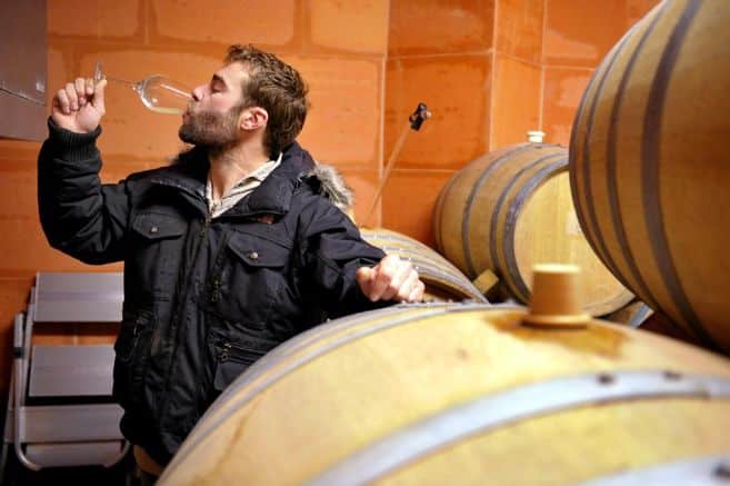 Domaine DIDIER DAGUENEAU
