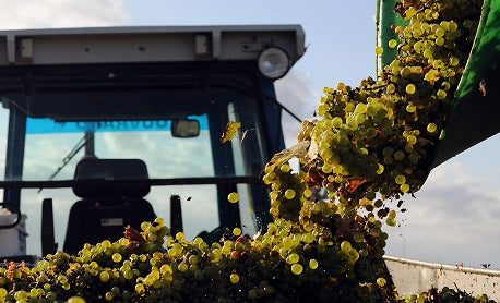 Domaine HUET Vouvray