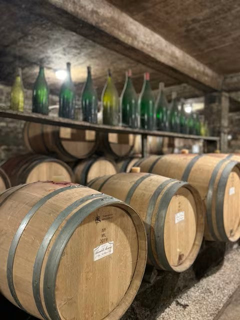 Domaine GERARD PEIRAZEAU & FILS  Morey-Saint-Denis