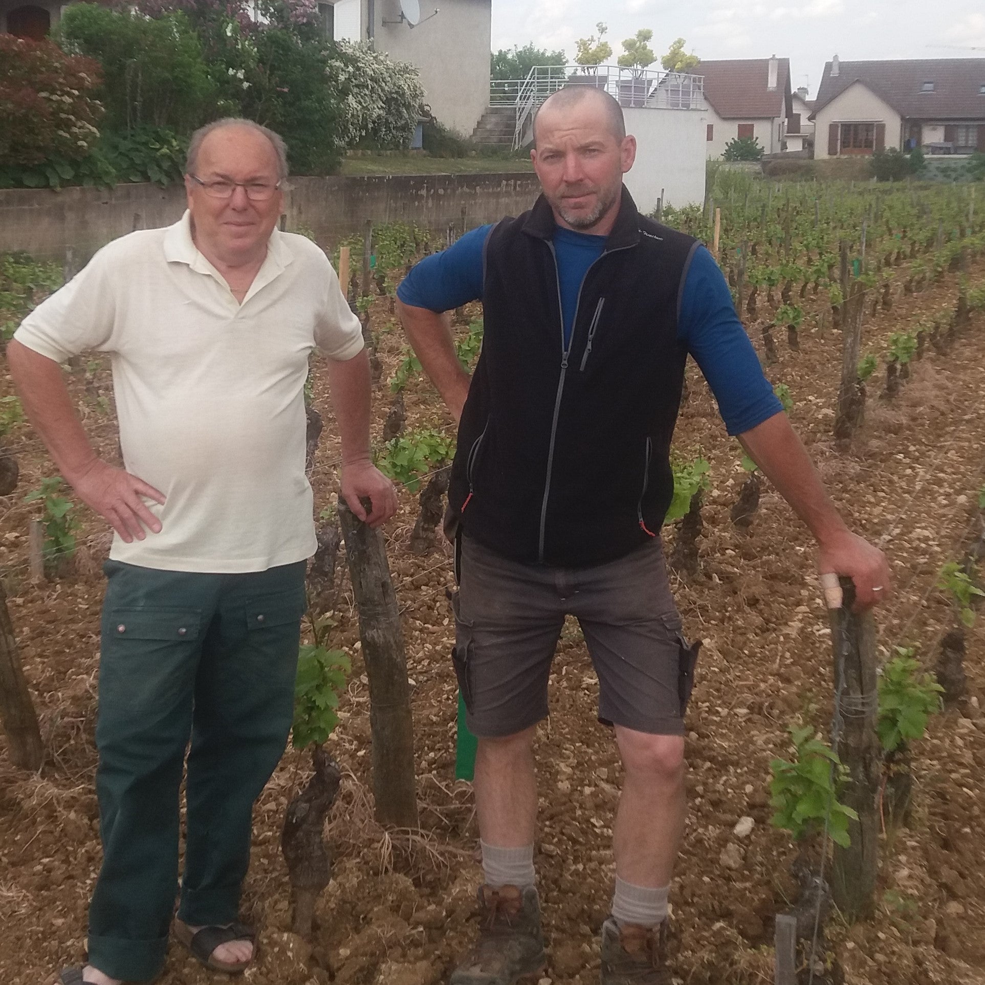 Domaine GERARD PEIRAZEAU & FILS Morey-Saint-Denis 1er Cru