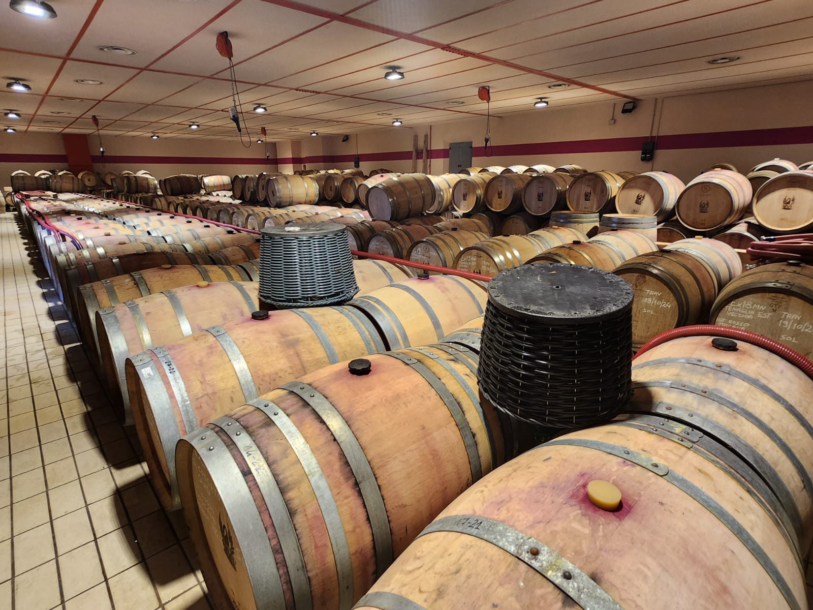 Tenuta di Trinoro Campo di Camagi 2018