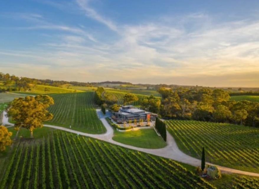 The Lane Shiraz Viognier 2019