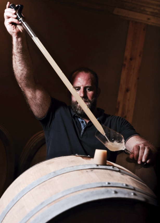 Domaine Thibaud Boudignon Savennières "Clos de la Hutte" 2021