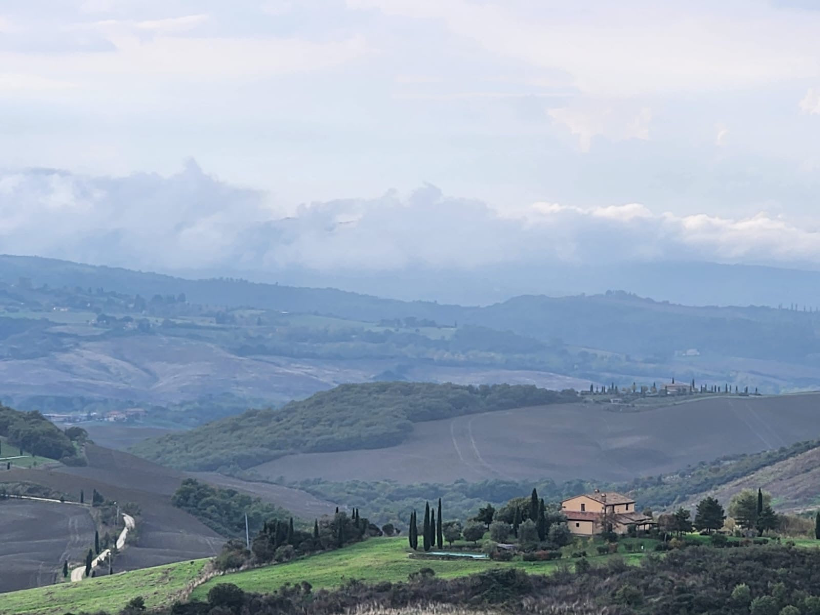 Tenuta di Trinoro Le Cupole 2019