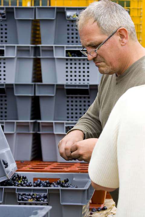 Jules Desjourneys Beaujolais Blanc 2021