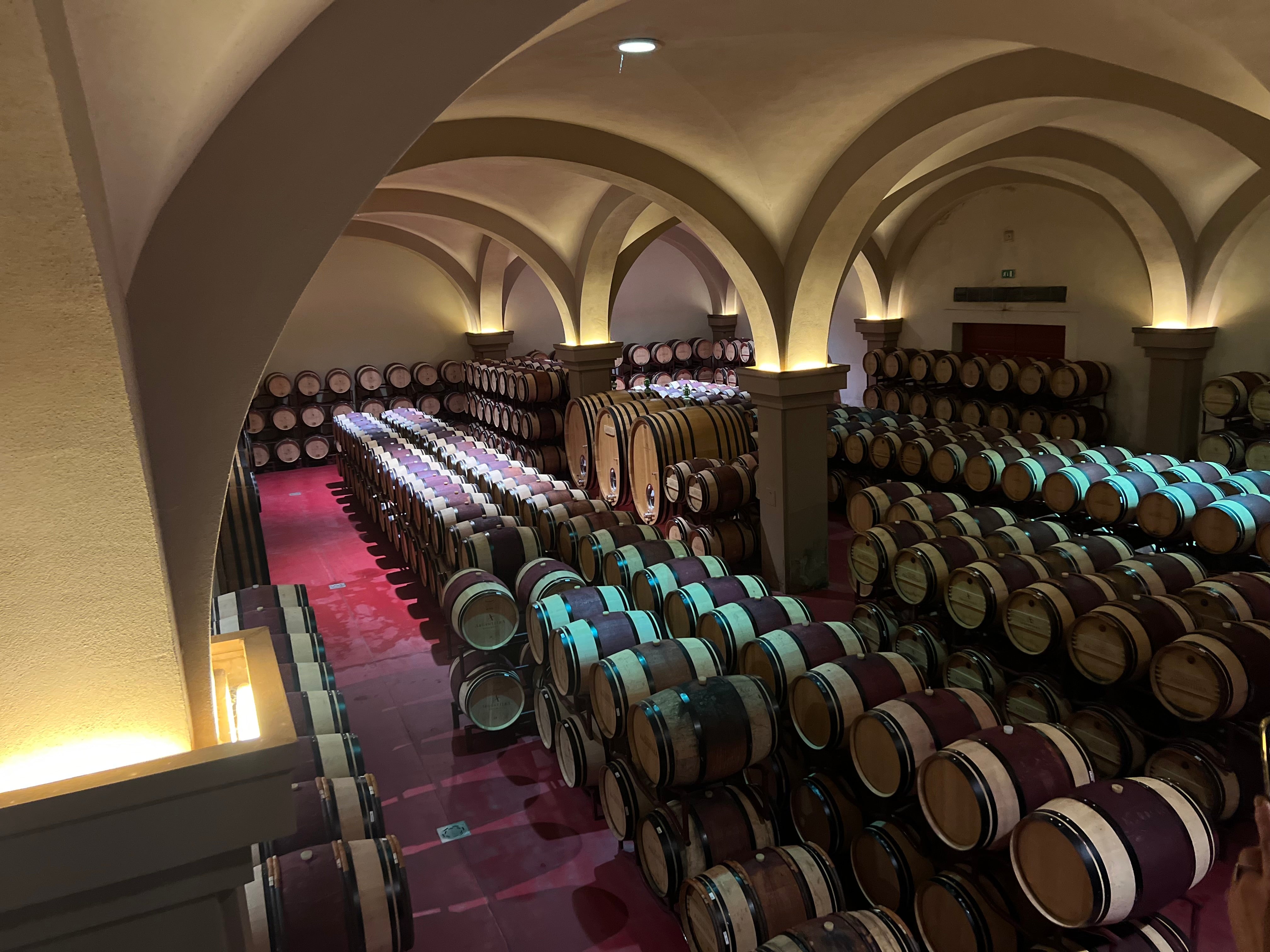 Argentiera Bolgheri Superiore 2015