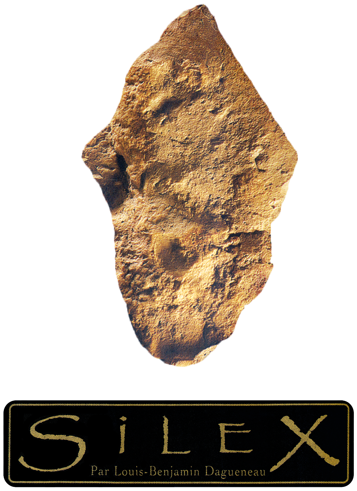 Domaine DIDIER DAGUENEAU "Silex" 2022